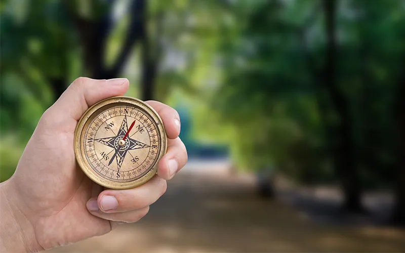 Values vs goals - compass held outdoors