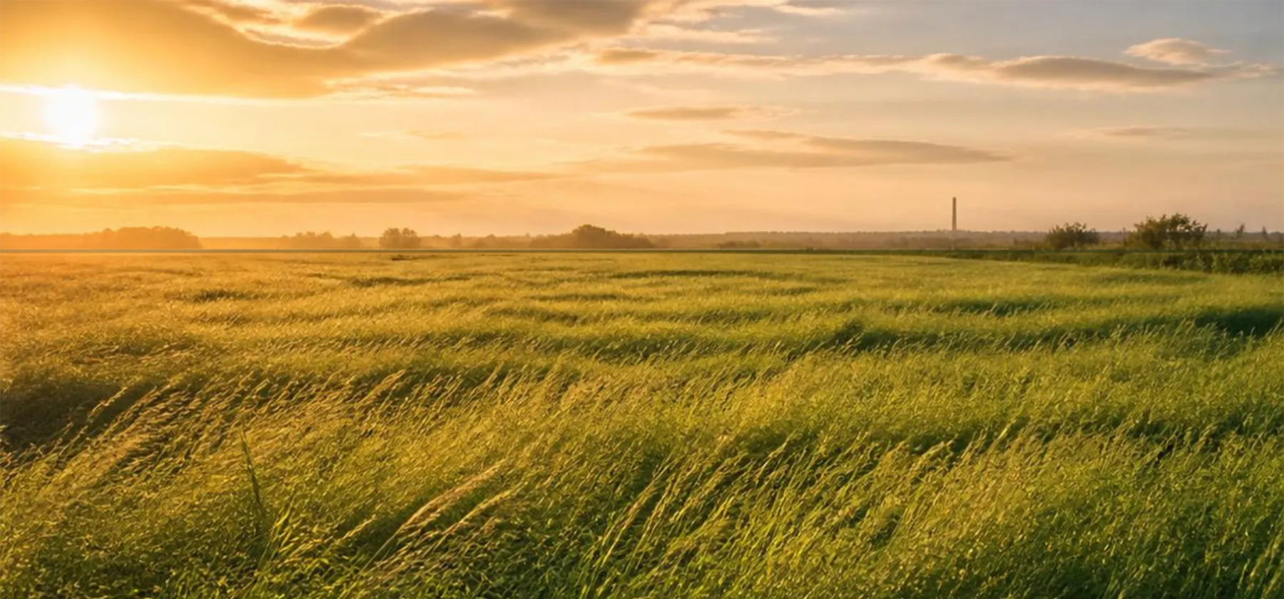 A sunlit green field with a distant chimney silhouette on the horizon
