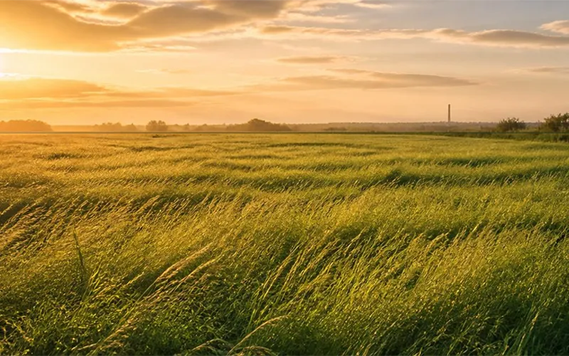 A sunlit green field with a distant chimney silhouette on the horizon